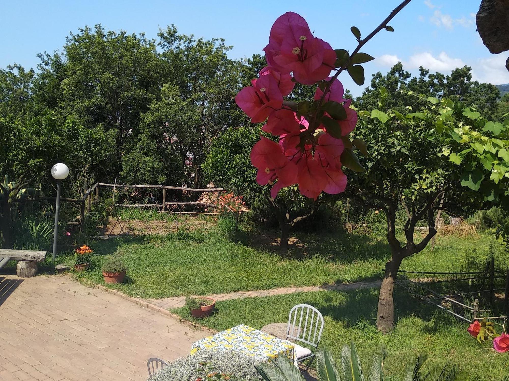 B&B Casa Gemma Lamezia Terme Eksteriør bilde